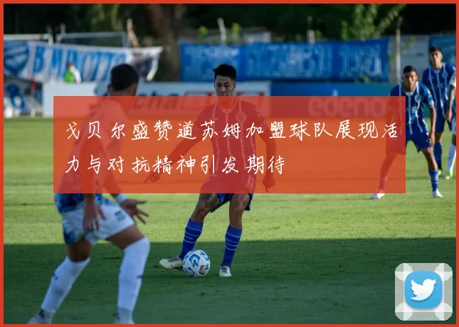 戈贝尔盛赞道苏姆加盟球队展现活力与对抗精神引发期待