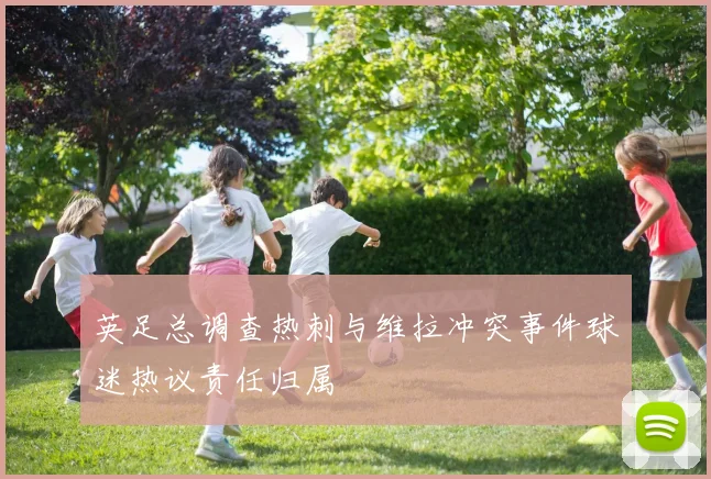 英足总调查热刺与维拉冲突事件球迷热议责任归属