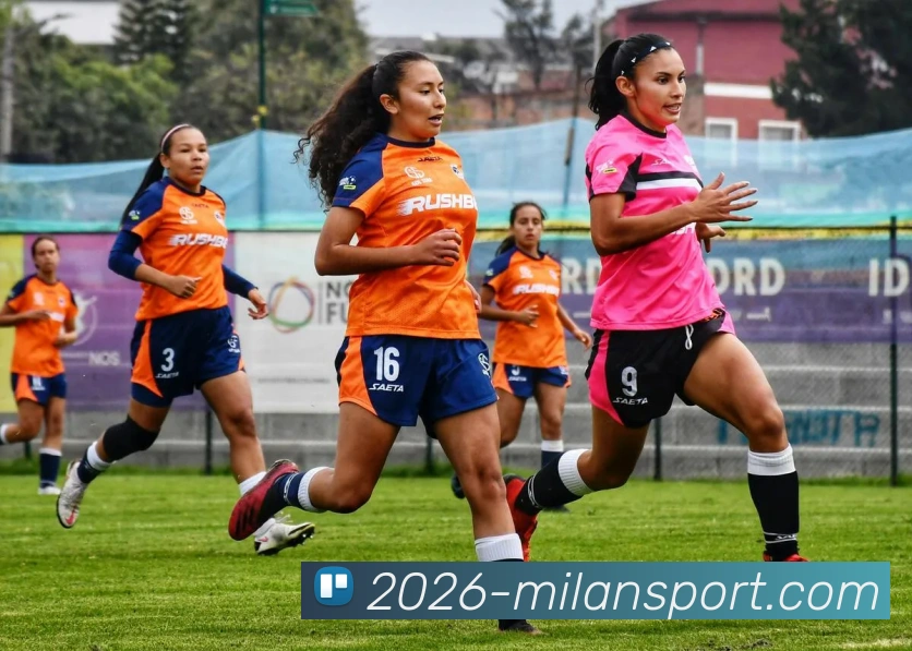 米兰体育全站App